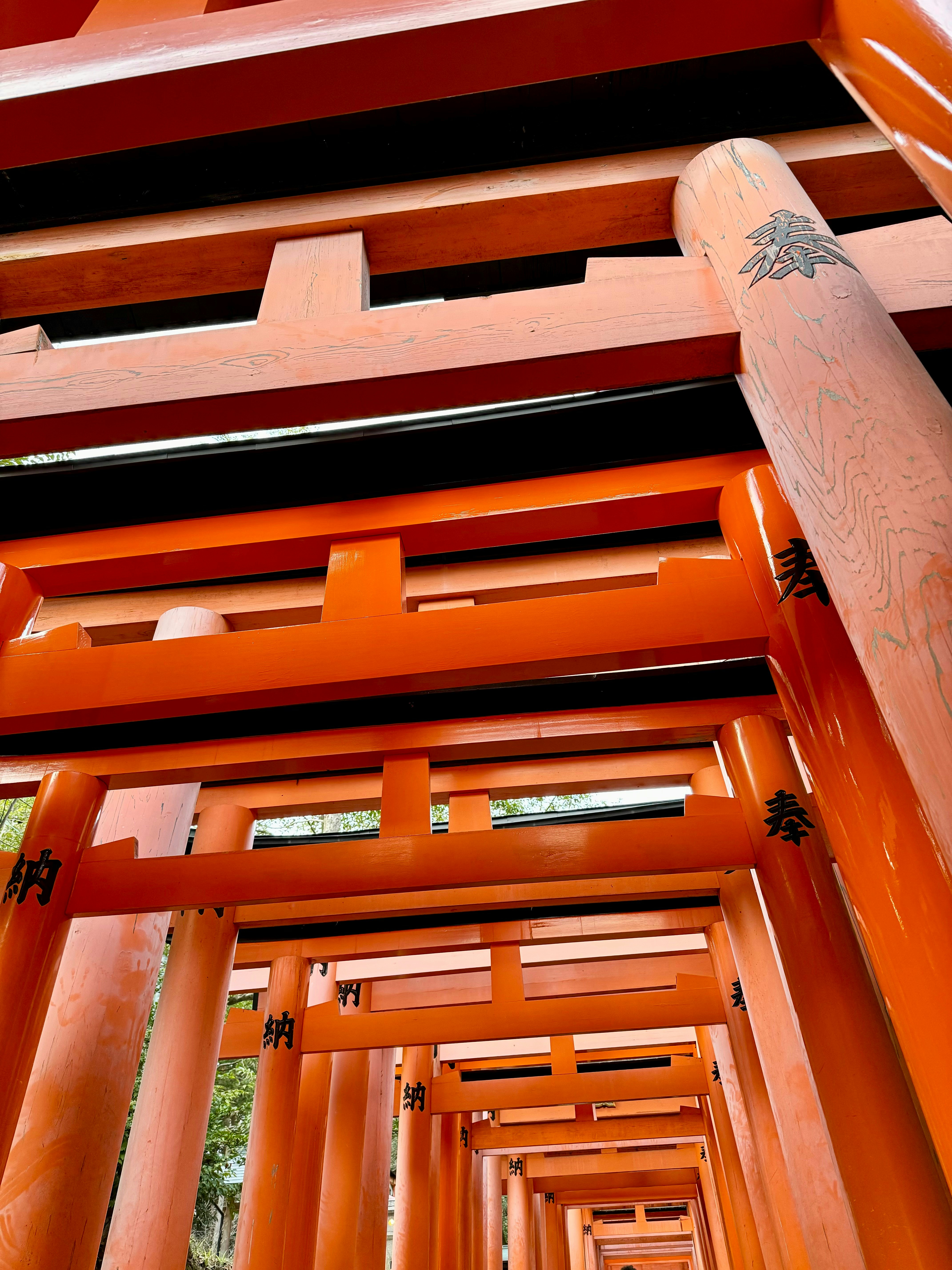 Fushimi Inari Shrine